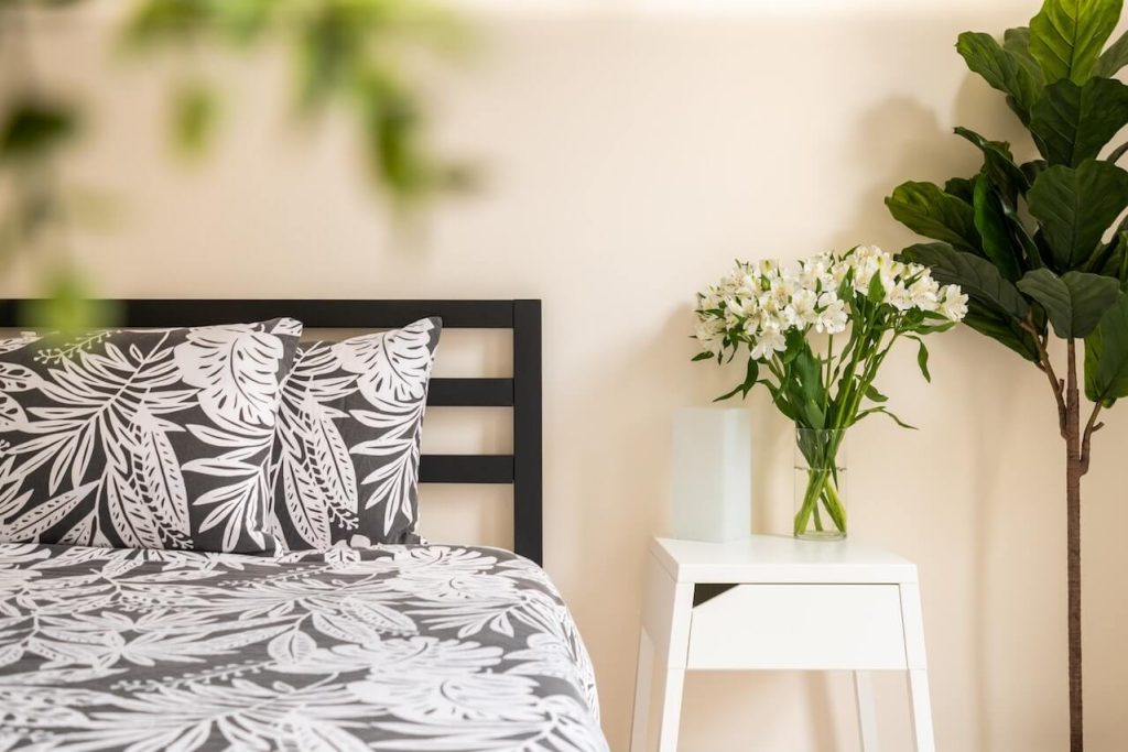 feng shui bedroom plants