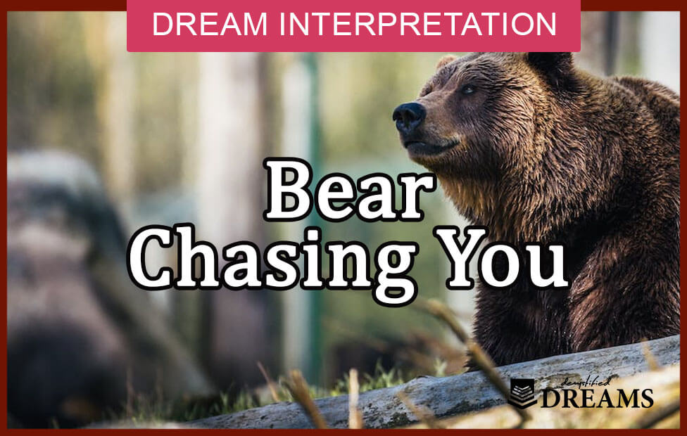 dream about bear chasing you