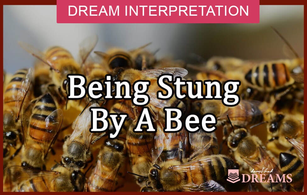 dream about being stung by a bee